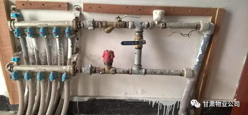 家庭供暖系统小知识 水管阀门的重要性与操作指南